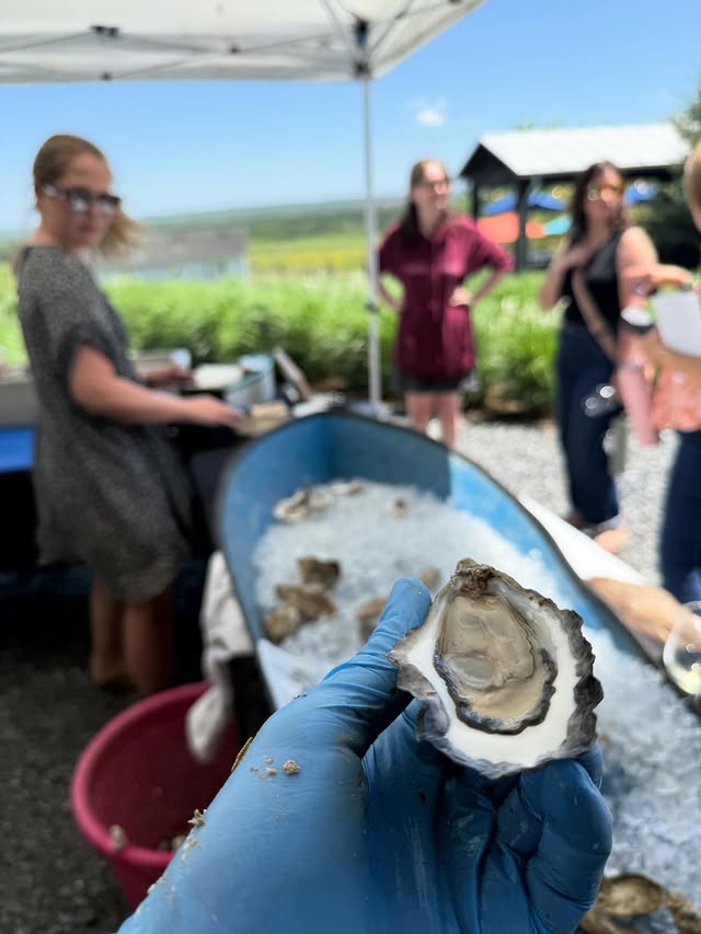 Revival Oysters - 25 count