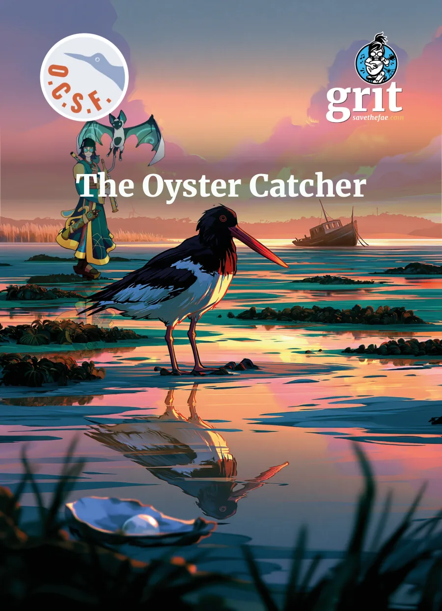 The cover of The Oyster Catcher coloring book: an oystercatcher bird standing in tidal shallows at sunset, with Pearl and her familiar Echo on the shore behind and an open oyster holding a pale pearl in the foreground